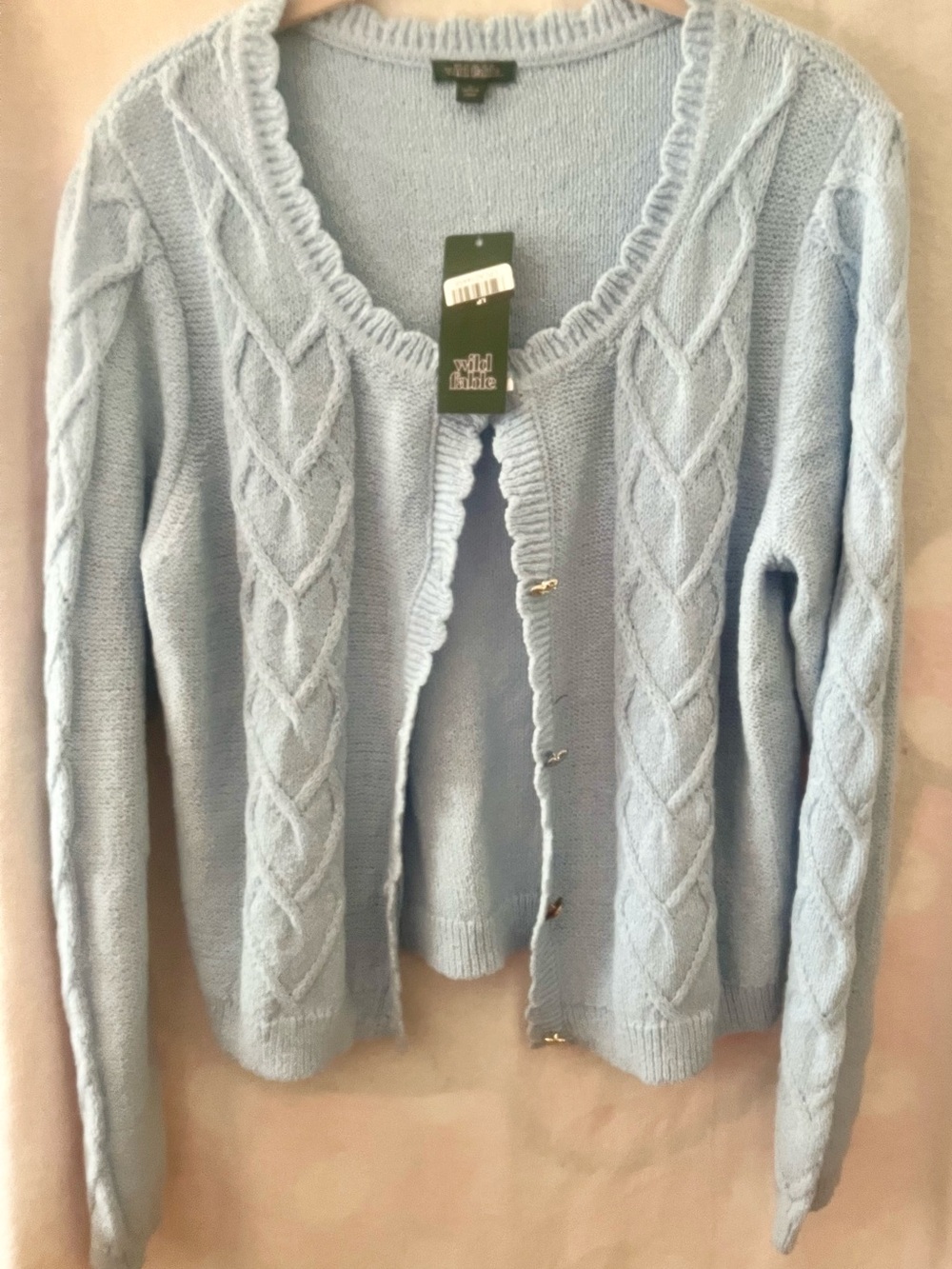 Light Blue Cable Knit Cardigan Sweater